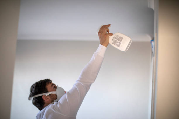 Trusted Norwalk, CA Mold Removal Experts
