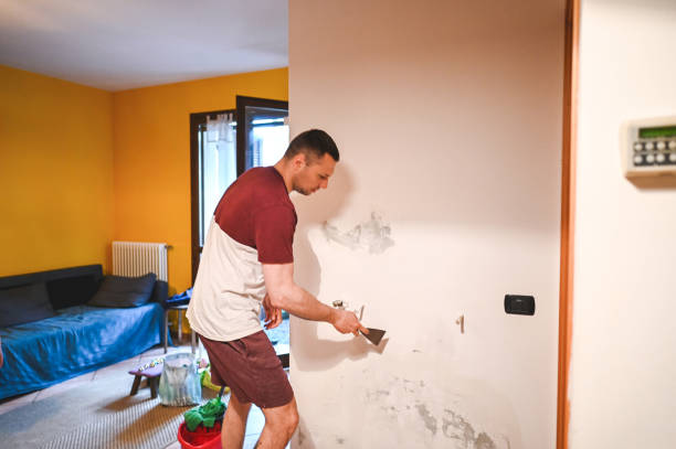 Best Same-Day Mold Removal  in Norwalk, CA